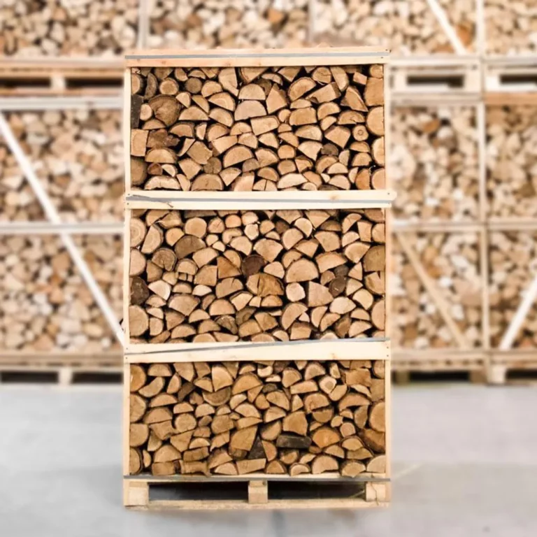 Brennholz Eiche 50 cm kammergetrocknet 2,5 SRM auf Palette