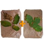 Holzpellets Mix 6 mm – Buche + Eiche – 64 × 15 kg (960 kg) – Bild 3